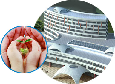 護(hù)理文化 護(hù)理文化