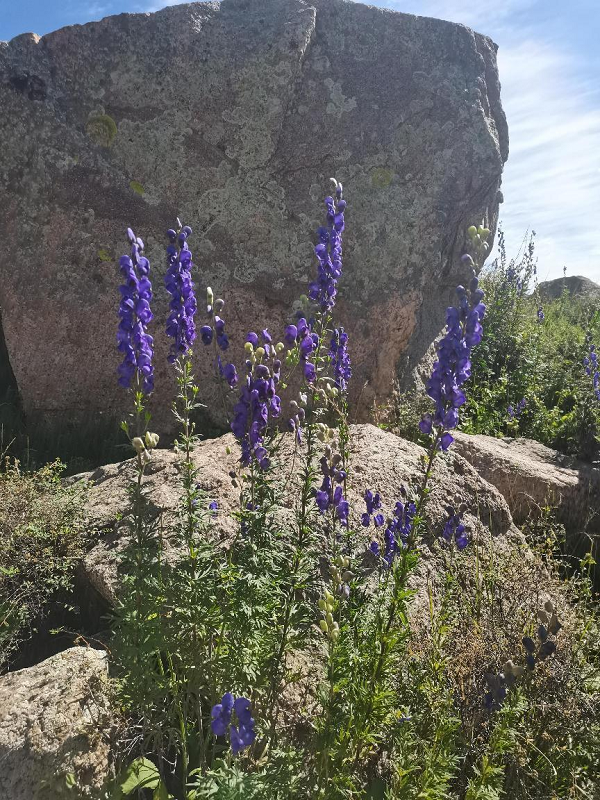 1694569879268647.png 微信圖片_2_1.png